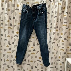 Judy Blue 18W Skinny Stretch Jean